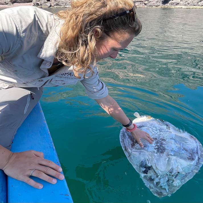 An ESPA biologist inspects a turtle carcass in Espiritu Santo Marine Park