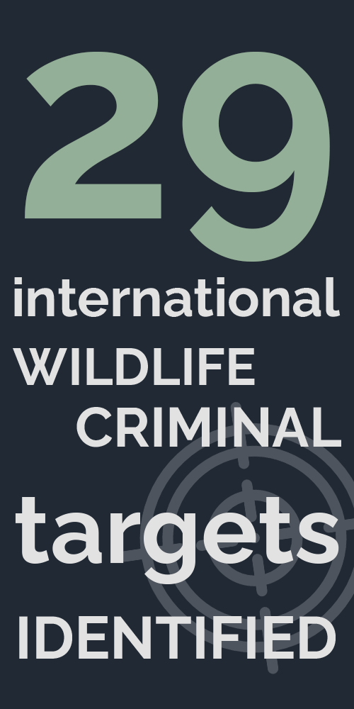 Infographic: 29 International wildlife criminal targets identified