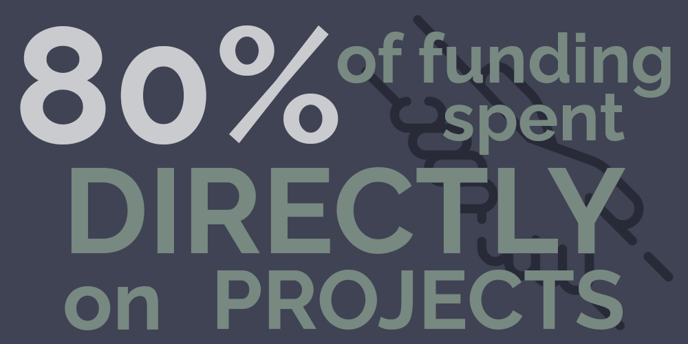 Inforgrpahic: 80% of funding spent directly on projects.